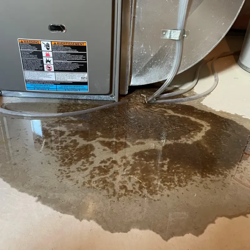 Appliance Leak Cleanup in Goleta, CA